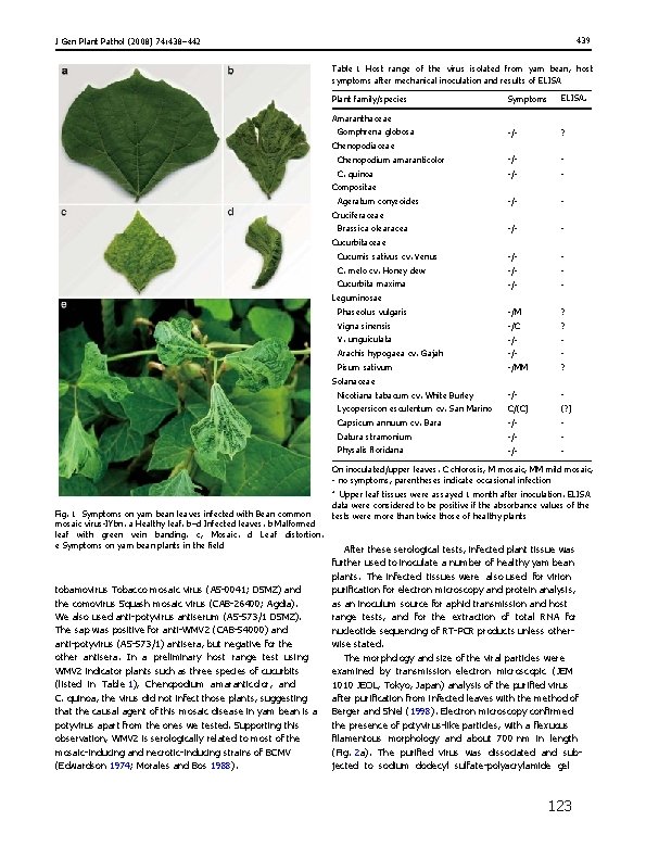 439 J Gen Plant Pathol (2008) 74: 438– 442 Table 1 Host range of