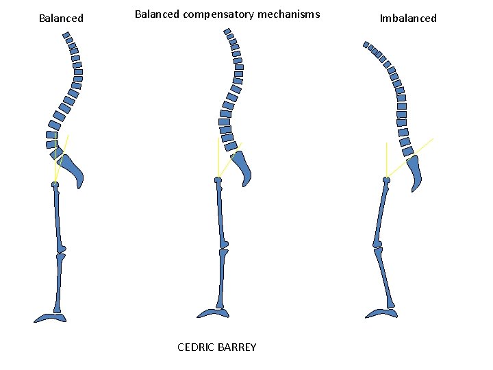 Balanced compensatory mechanisms CEDRIC BARREY Imbalanced 