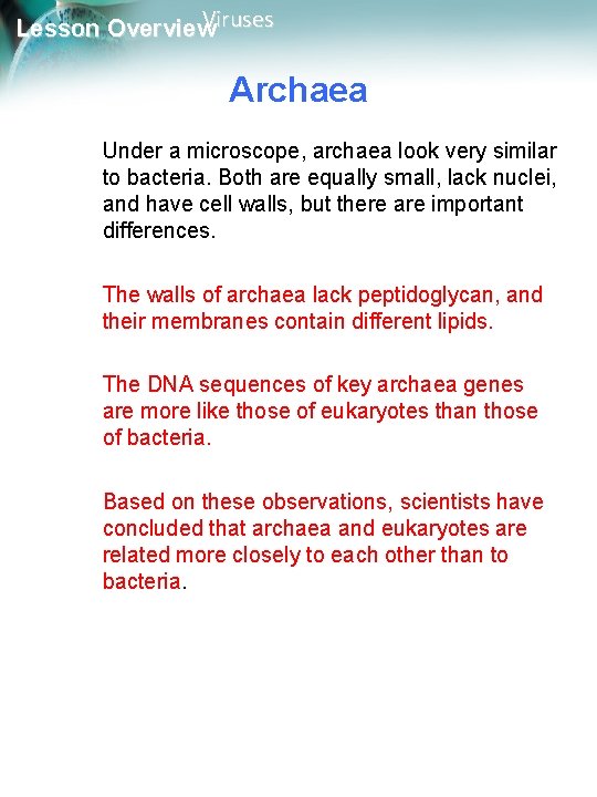 Viruses Lesson Overview Archaea Under a microscope, archaea look very similar to bacteria. Both