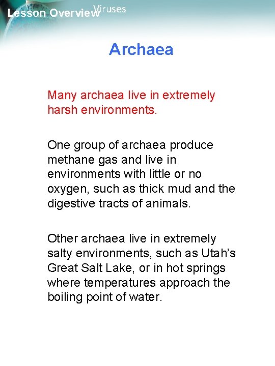 Viruses Lesson Overview Archaea Many archaea live in extremely harsh environments. One group of