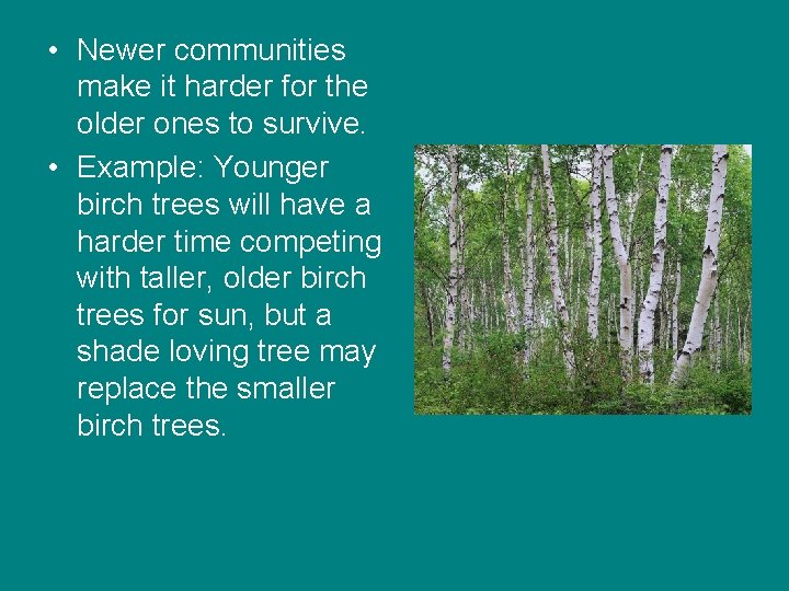 • Newer communities make it harder for the older ones to survive. • • Newer communities make it harder for the older ones to survive. •