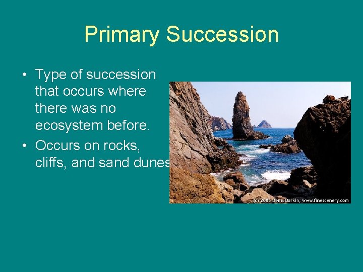 Primary Succession • Type of succession that occurs where there was no ecosystem before.