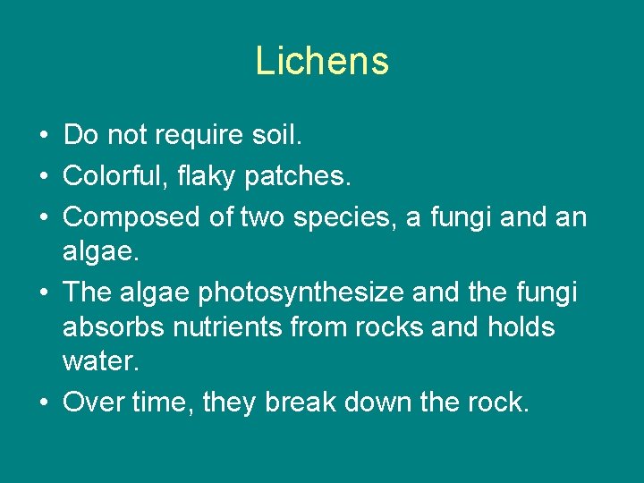 Lichens • Do not require soil. • Colorful, flaky patches. • Composed of two Lichens • Do not require soil. • Colorful, flaky patches. • Composed of two