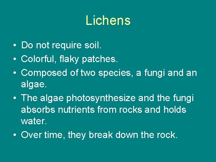 Lichens • Do not require soil. • Colorful, flaky patches. • Composed of two
