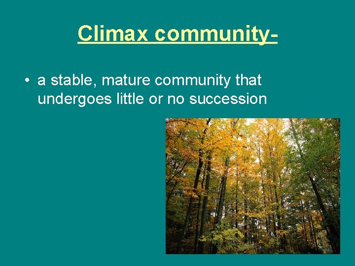 Climax community • a stable, mature community that undergoes little or no succession 