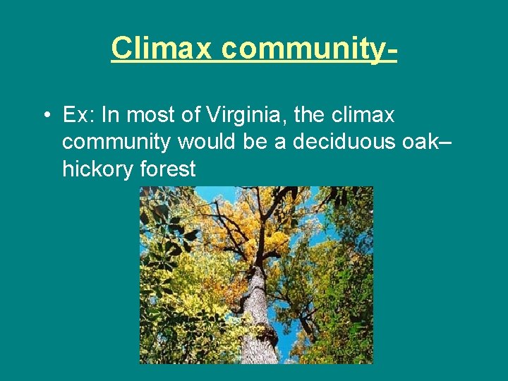 Climax community • Ex: In most of Virginia, the climax community would be a Climax community • Ex: In most of Virginia, the climax community would be a