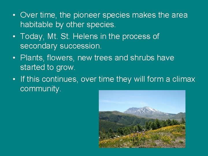 • Over time, the pioneer species makes the area habitable by other species. • Over time, the pioneer species makes the area habitable by other species.