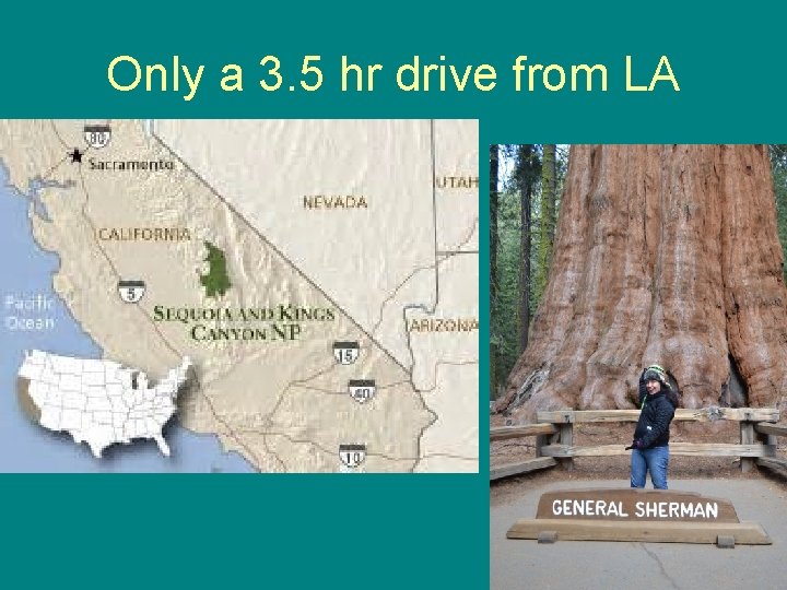 Only a 3. 5 hr drive from LA Only a 3. 5 hr drive from LA