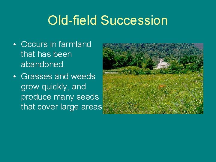 Old-field Succession • Occurs in farmland that has been abandoned. • Grasses and weeds