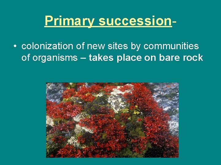 Primary succession • colonization of new sites by communities of organisms – takes place Primary succession • colonization of new sites by communities of organisms – takes place