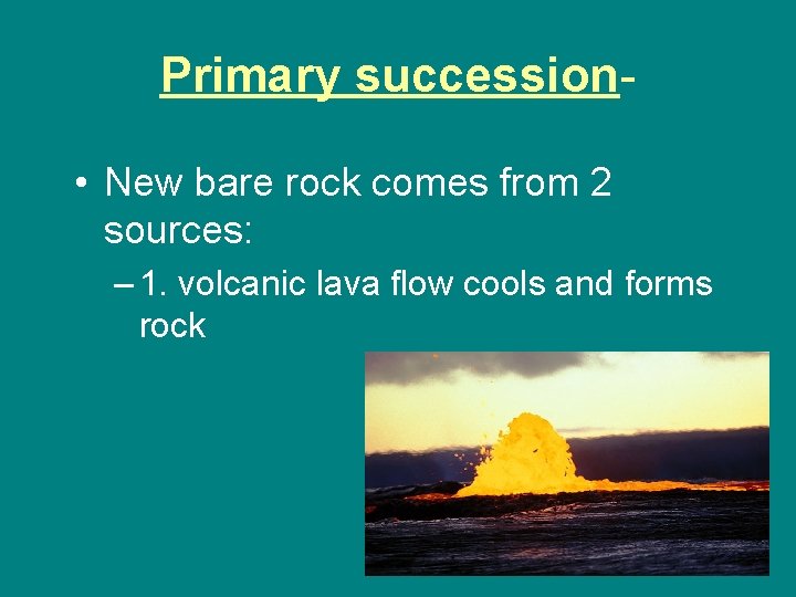 Primary succession • New bare rock comes from 2 sources: – 1. volcanic lava
