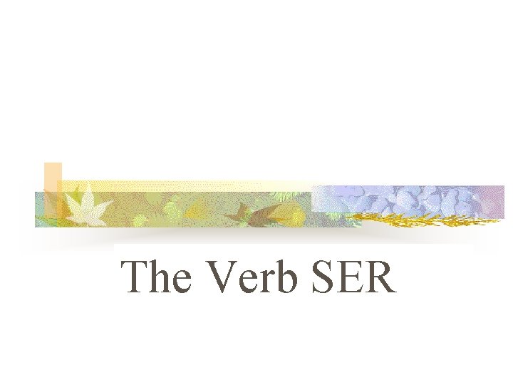 The Verb SER 