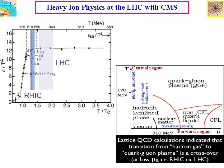 Heavy Ion Physics at the LHC with CMS Central region Forward region 