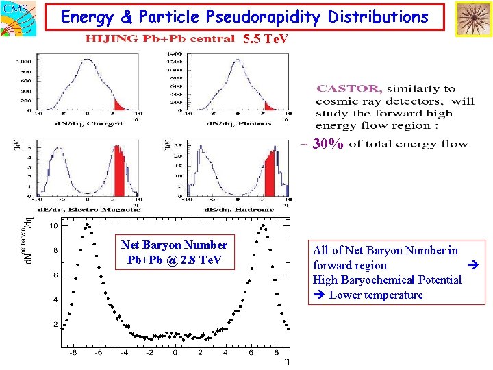 Energy & Particle Pseudorapidity Distributions 5. 5 Te. V 30% Net Baryon Number Pb+Pb