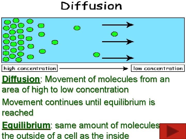 Diffusion: Movement of molecules from an area of high to low concentration Movement continues
