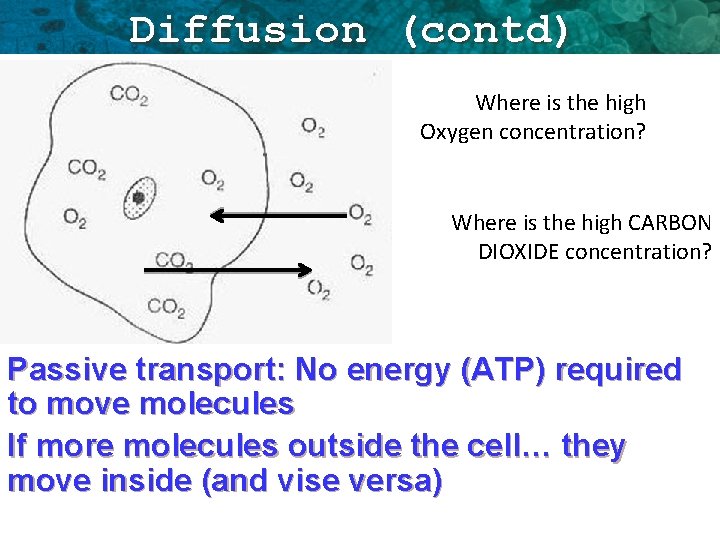Diffusion (contd) Where is the high Oxygen concentration? Where is the high CARBON DIOXIDE