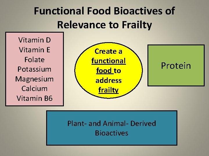 Functional Food Bioactives of Relevance to Frailty Vitamin D Vitamin E Folate Potassium Magnesium