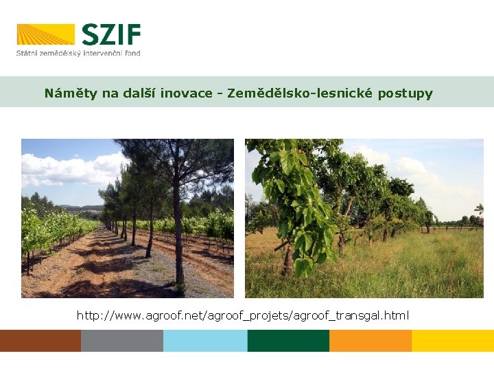 Náměty na další inovace - Zemědělsko-lesnické postupy http: //www. agroof. net/agroof_projets/agroof_transgal. html 