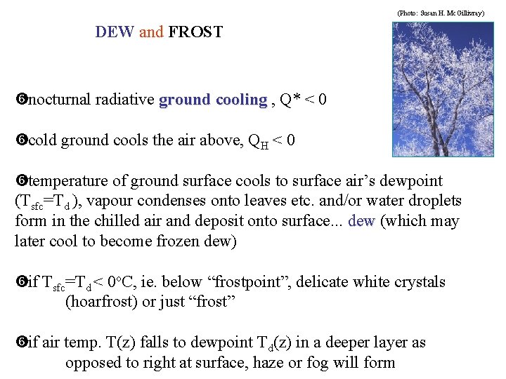 (Photo: Susan H. Mc. Gillivray) DEW and FROST nocturnal radiative ground cooling , Q*
