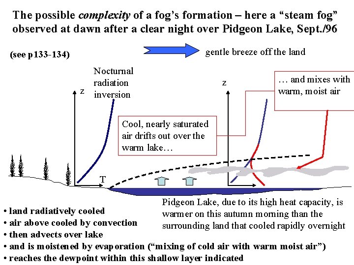 The possible complexity of a fog’s formation – here a “steam fog” observed at
