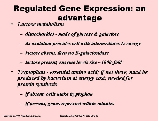 Regulated Gene Expression: an advantage • Lactose metabolism – disaccharide) - made of glucose