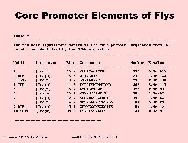 Core Promoter Elements of Flys Table 2 ------------------------------------The ten most significant motifs in the