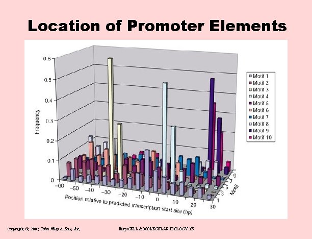 Location of Promoter Elements Copyright, ©, 2002, John Wiley & Sons, Inc. , Karp/CELL