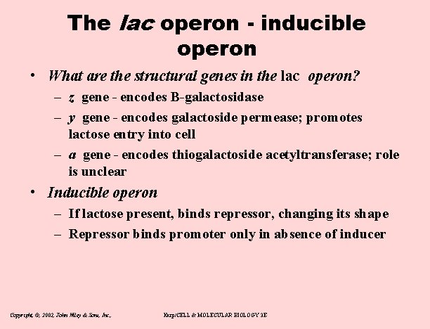 The lac operon - inducible operon • What are the structural genes in the