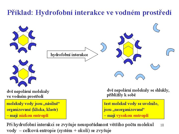 Příklad: Hydrofobní interakce ve vodném prostředí hydrofobní interakce dvě nepolární molekuly ve vodném prostředí