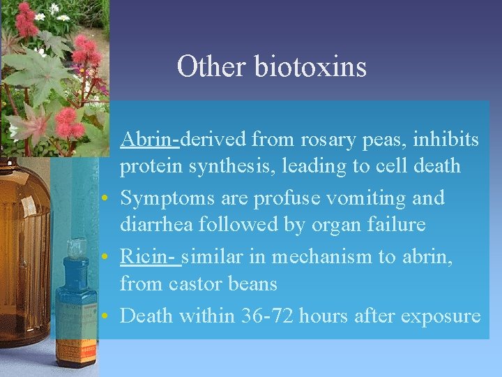 Other biotoxins • Abrin-derived from rosary peas, inhibits protein synthesis, leading to cell death