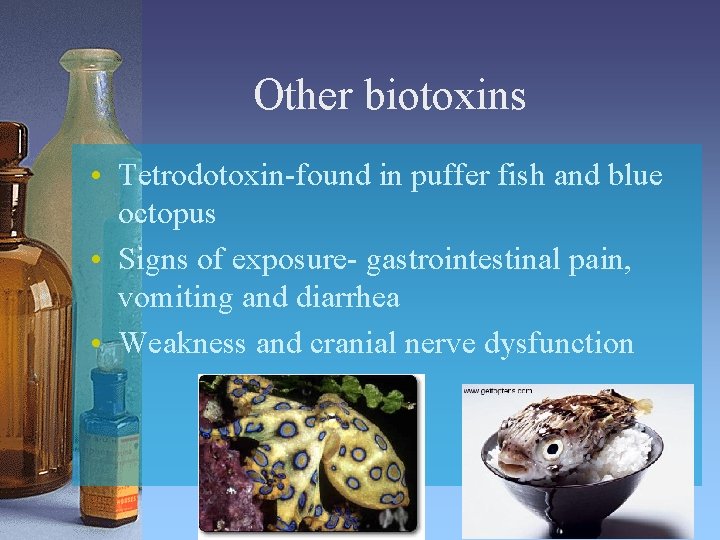 Other biotoxins • Tetrodotoxin-found in puffer fish and blue octopus • Signs of exposure-