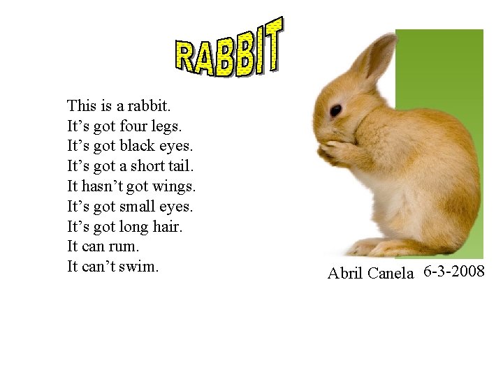 This is a rabbit. It’s got four legs. It’s got black eyes. It’s got