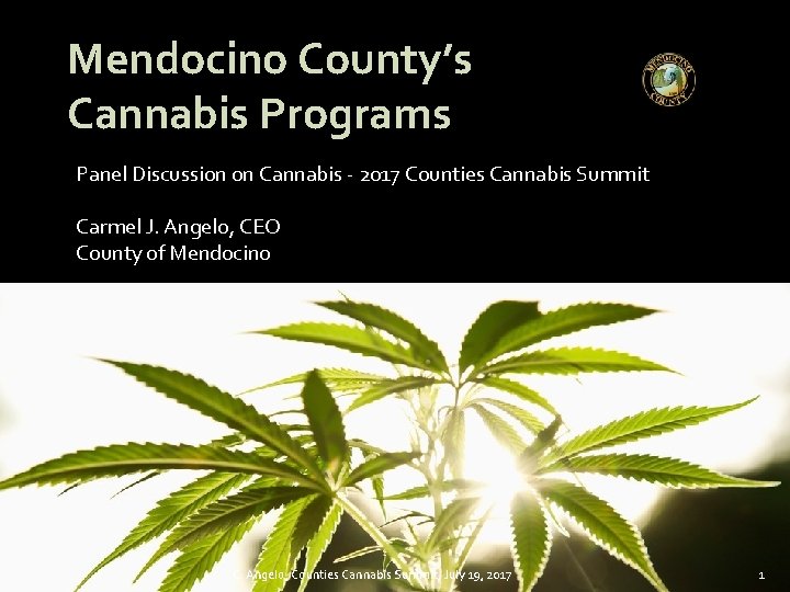 Mendocino County’s Cannabis Programs Panel Discussion on Cannabis - 2017 Counties Cannabis Summit Carmel
