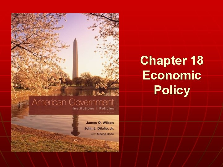 Chapter 18 Economic Policy 