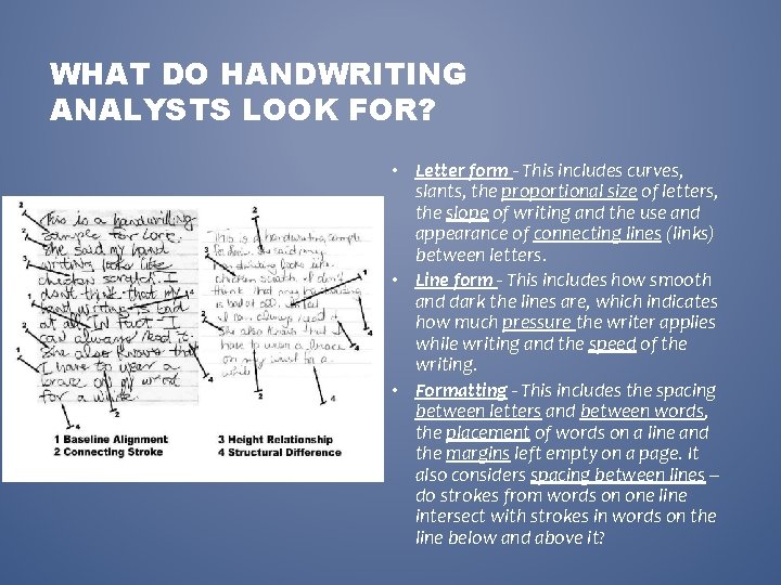 WHAT DO HANDWRITING ANALYSTS LOOK FOR? • Letter form This includes curves, slants, the