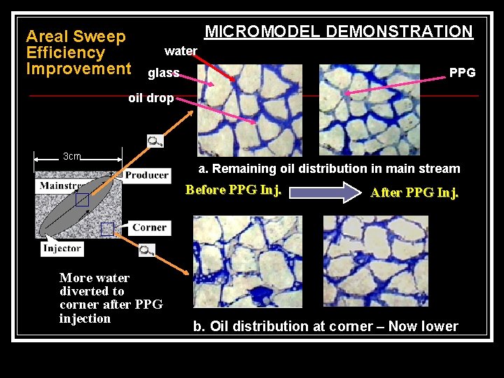 Areal Sweep Efficiency Improvement MICROMODEL DEMONSTRATION water glass PPG oil drop 3 cm a.