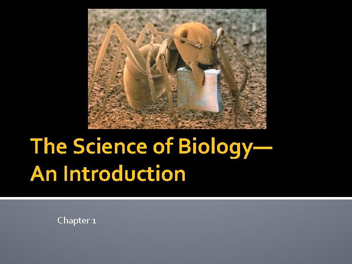 The Science of Biology— An Introduction Chapter 1 