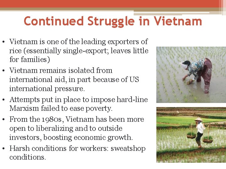 Continued Struggle in Vietnam • Vietnam is one of the leading exporters of rice