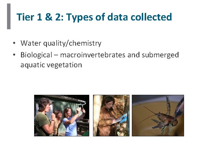 Tier 1 & 2: Types of data collected • Water quality/chemistry • Biological – Tier 1 & 2: Types of data collected • Water quality/chemistry • Biological –
