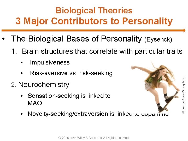 Biological Theories 3 Major Contributors to Personality • The Biological Bases of Personality (Eysenck)