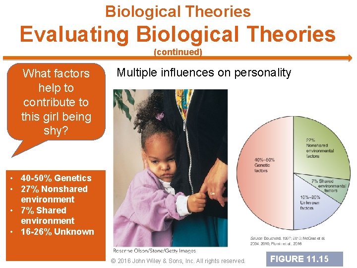 Biological Theories Evaluating Biological Theories (continued) What factors help to contribute to this girl