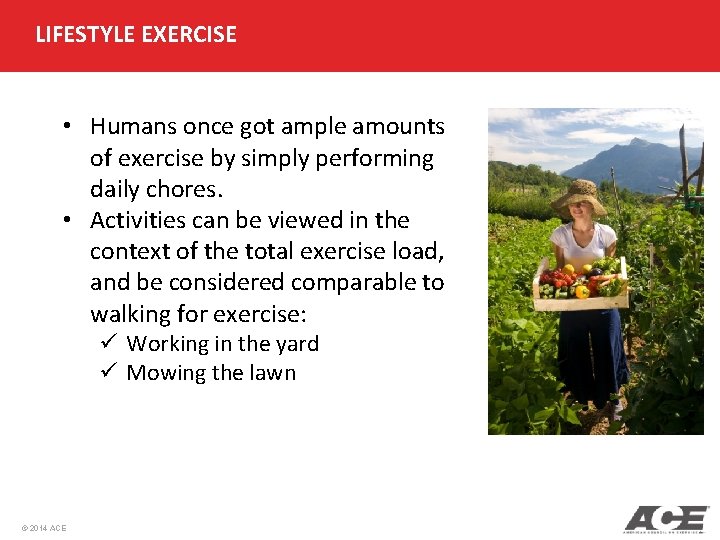 LIFESTYLE EXERCISE • Humans once got ample amounts of exercise by simply performing daily