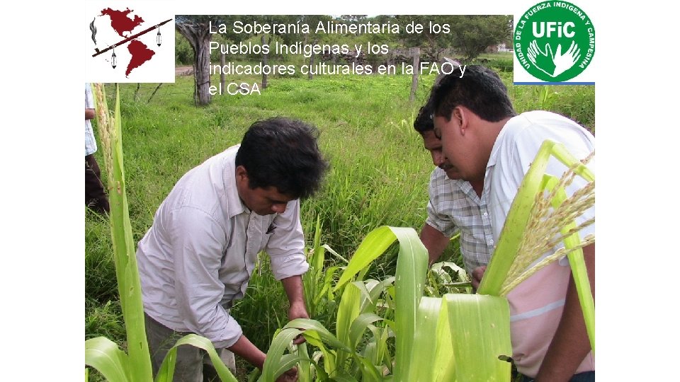 La Soberanía Alimentaria de los Pueblos Indígenas y los indicadores culturales en la FAO