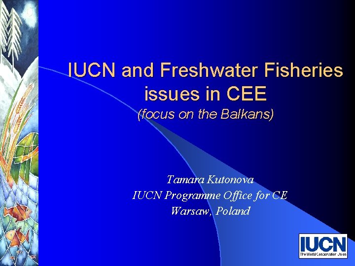 IUCN and Freshwater Fisheries issues in CEE (focus on the Balkans) Tamara Kutonova IUCN