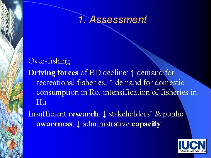 1. Assessment Over-fishing Driving forces of BD decline: ↑ demand for recreational fisheries, ↑