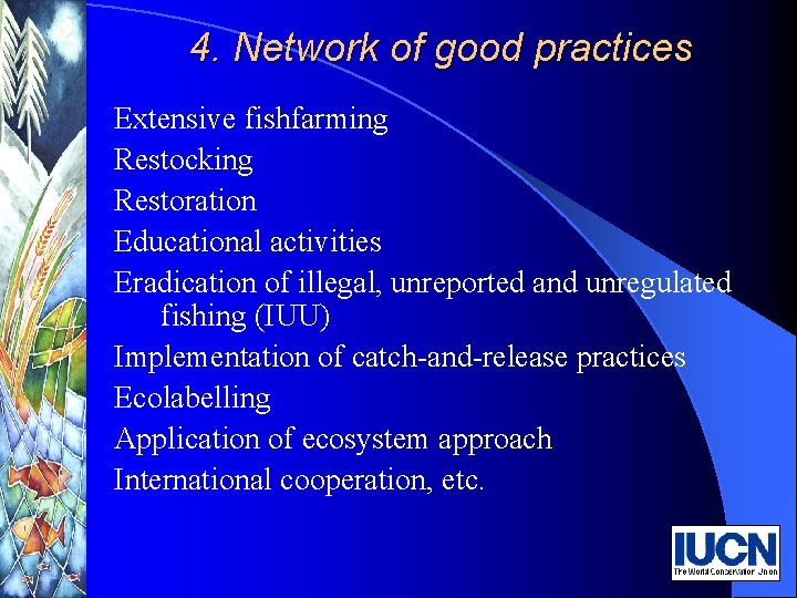 4. Network of good practices Extensive fishfarming Restocking Restoration Educational activities Eradication of illegal,