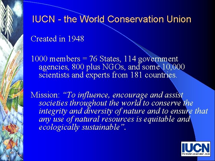 IUCN - the World Conservation Union Created in 1948 1000 members = 76 States,