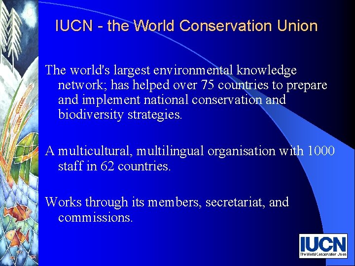 IUCN - the World Conservation Union The world's largest environmental knowledge network; has helped