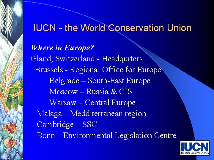 IUCN - the World Conservation Union Where in Europe? Gland, Switzerland - Headqurters Brussels
