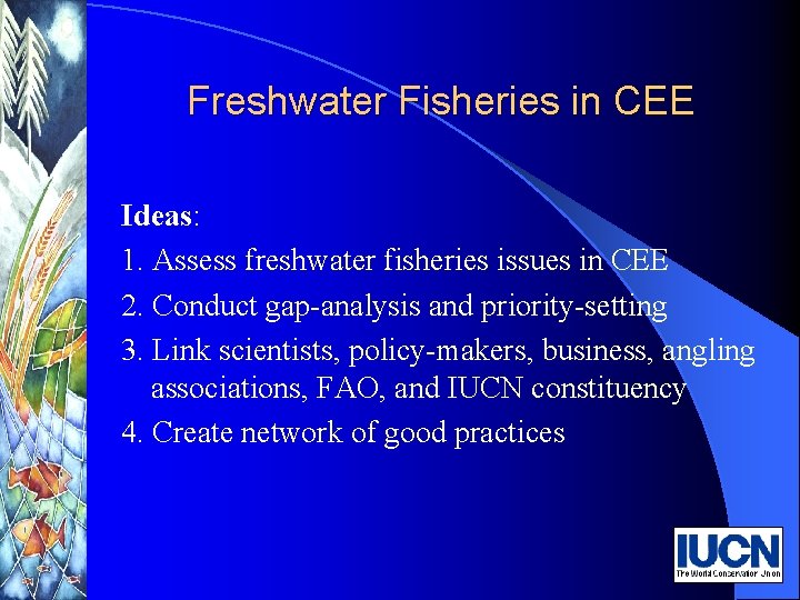 Freshwater Fisheries in CEE Ideas: 1. Assess freshwater fisheries issues in CEE 2. Conduct